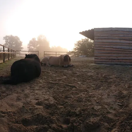 아파트 Belroki Ranch
