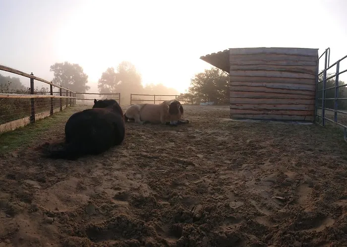 Belroki Ranch Waldeck (Hessen)